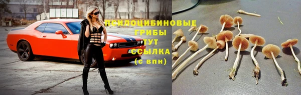 мет Абаза