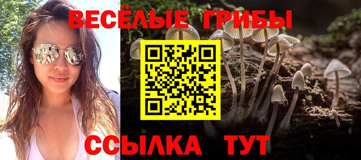 Дербент  наркотики  Вход с VPN  Галлюциногенные грибы прущие грибы 