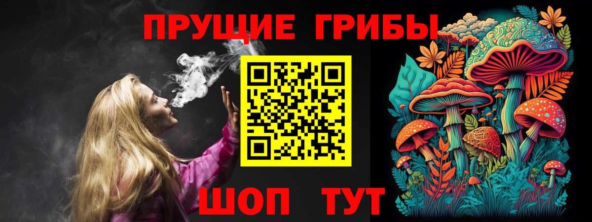Галлюциногенные грибы Psilocybe Дербент